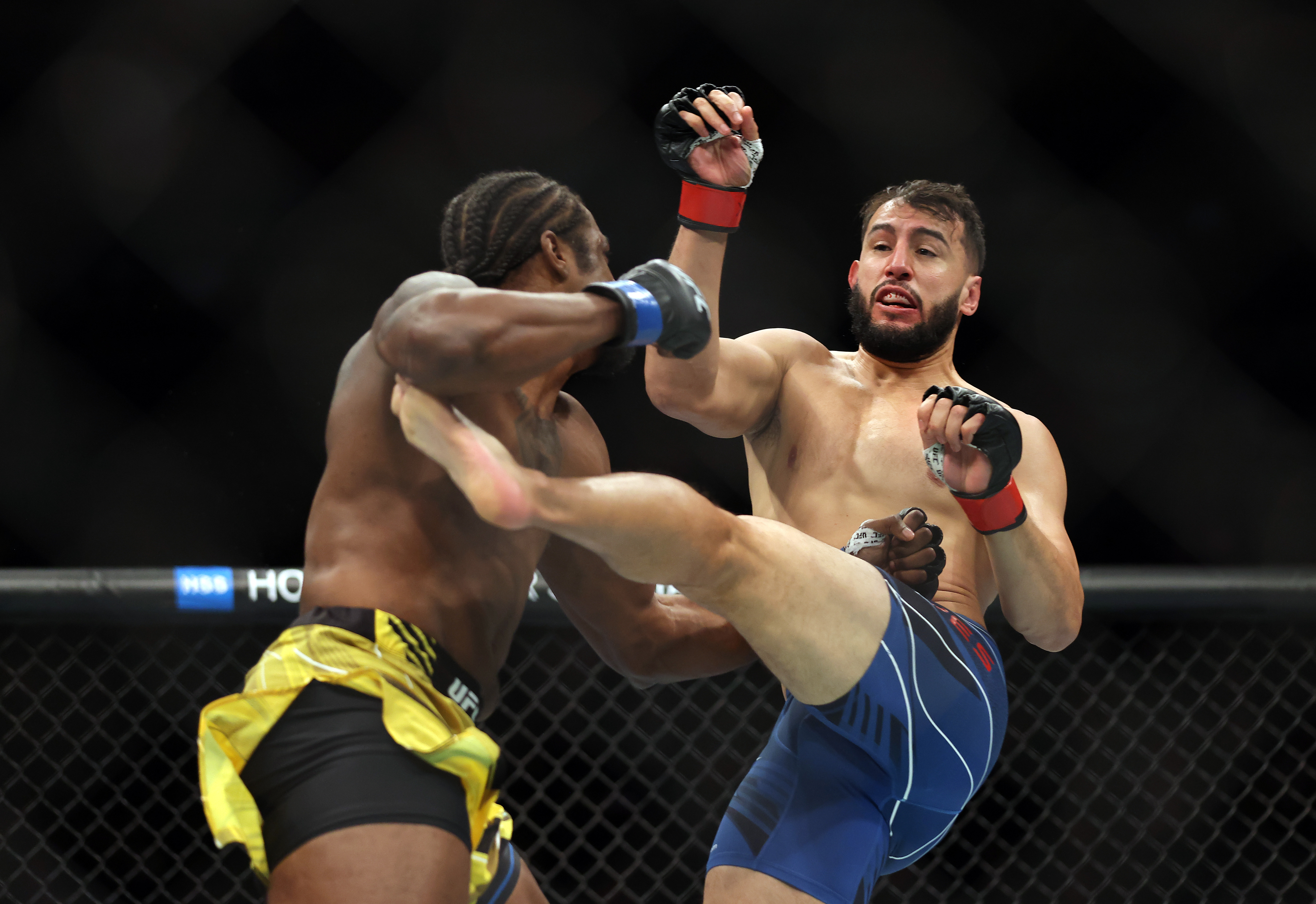 UFC 281: Adesanya v Pereira